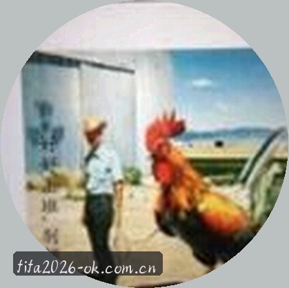赵阳